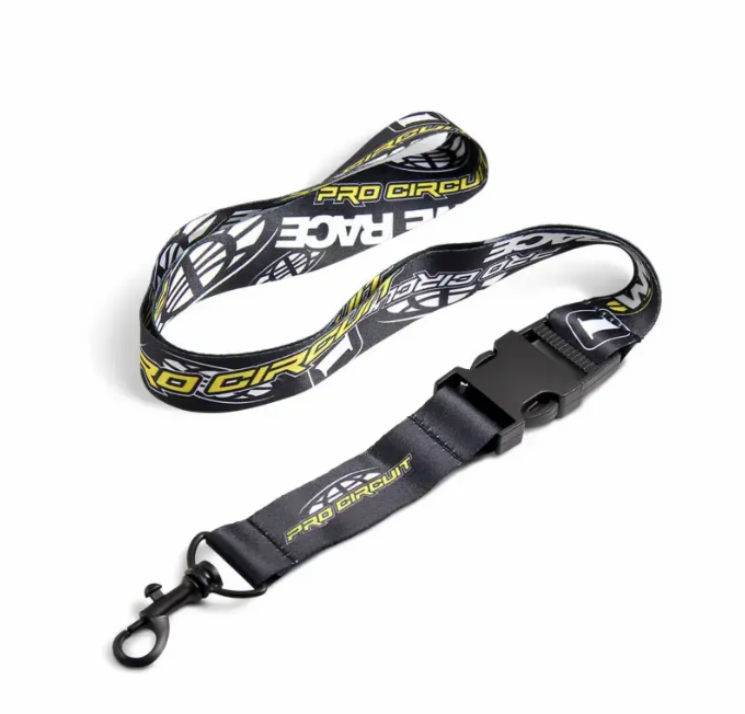 Lanyard